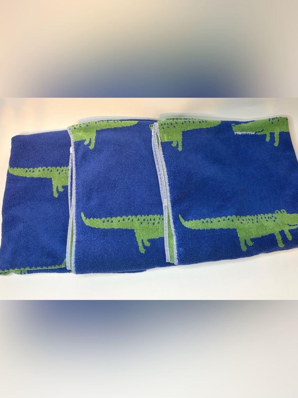 Pottery Barn Kids Alligator Jacquard Bath Towels Reversible Bundle (3)